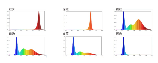 尊龙凯时-人生就是搏中国官方网站